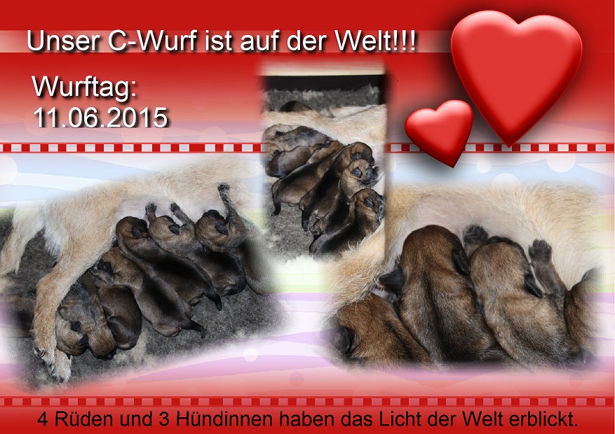 C-Wurf 1 Woche 1