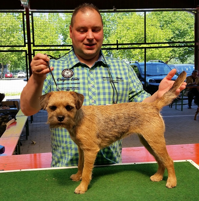 Durmersheim Queen 15