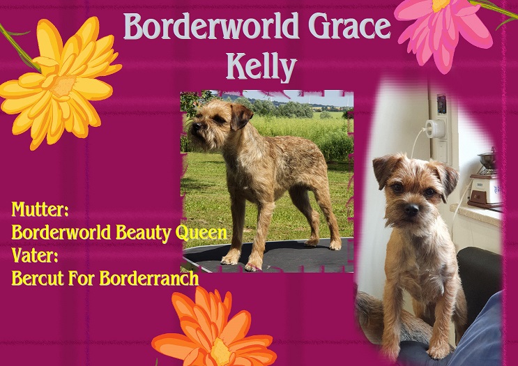 Grace Kelly Deckblatt