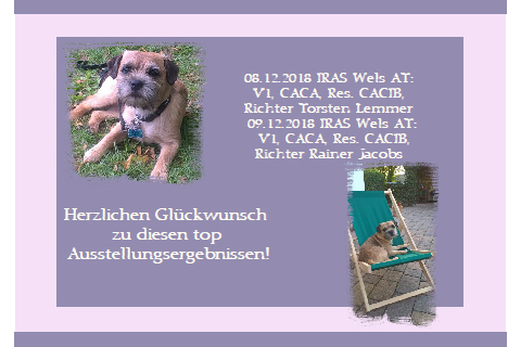 Gustl IRAS Wels 12 2018