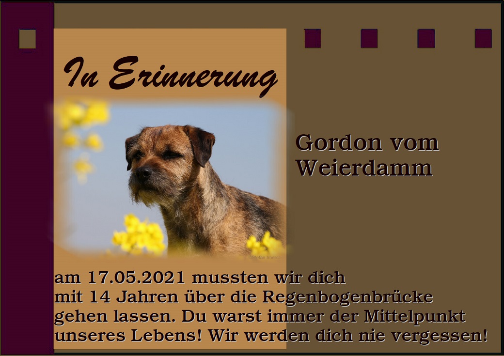 In Erinnerung Gordi In Erinnerung Gordi