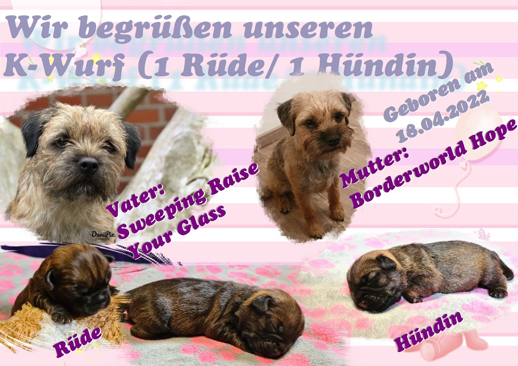 K-Wurf 1KW K-Wurf 1KW