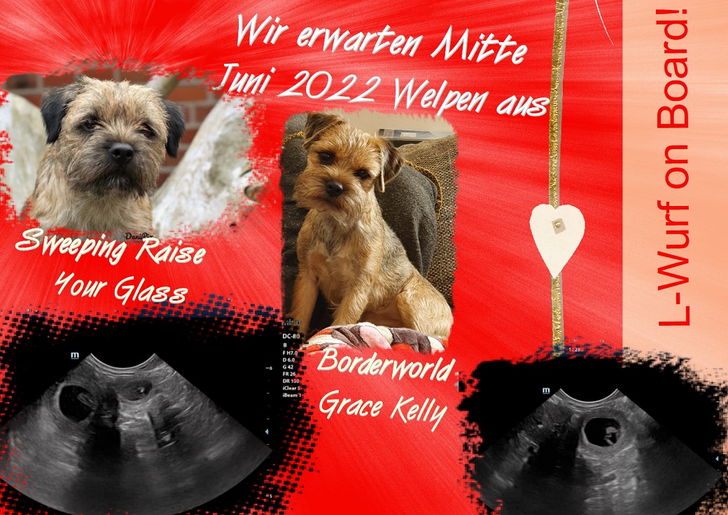 Kelly Ultraschall 22 Kelly Ultraschall 22