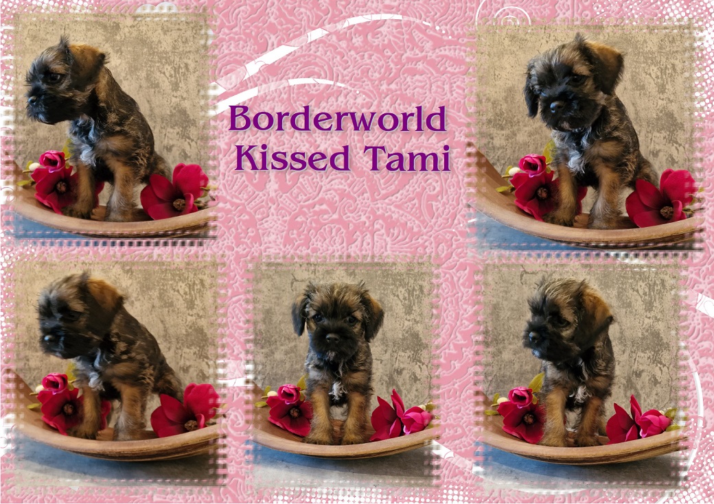 Kissed Tami Kissed Tami