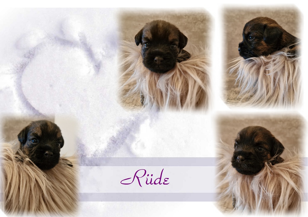 L-Wurf R 1 L-Wurf R 1