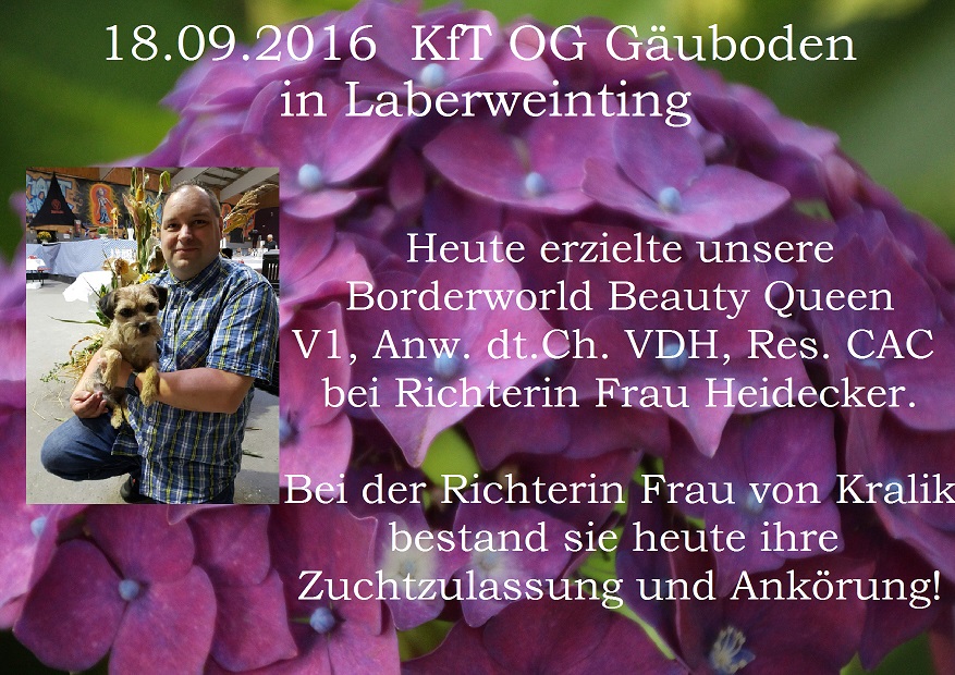 Laberweinting 2016