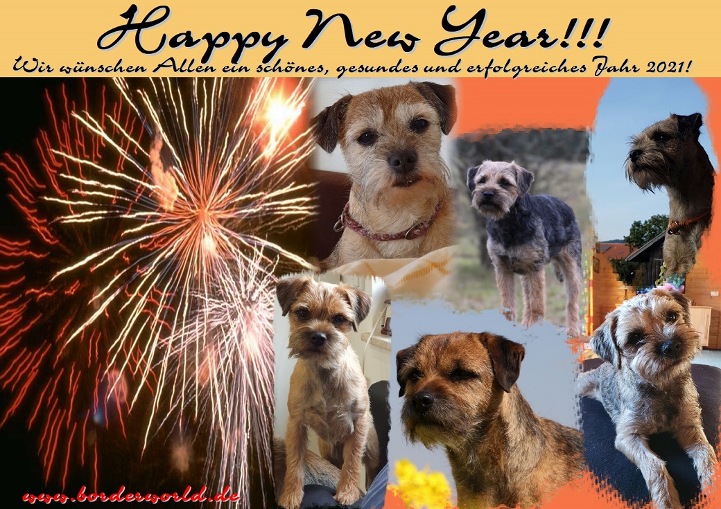 Silvester 2020 Silvester 2020