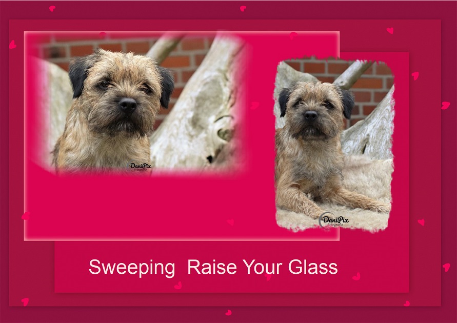 Sweeping Rais Your Glass