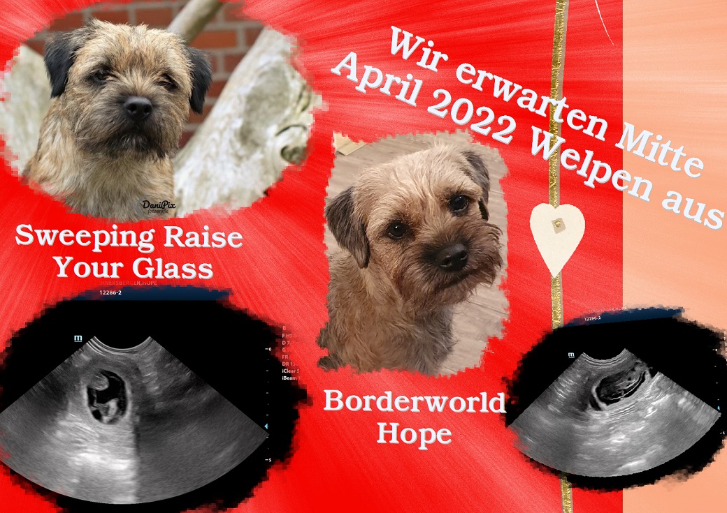 Ultraschall 22 Ultraschall 22