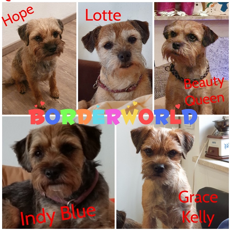 Unsere Hunde Unsere Hunde