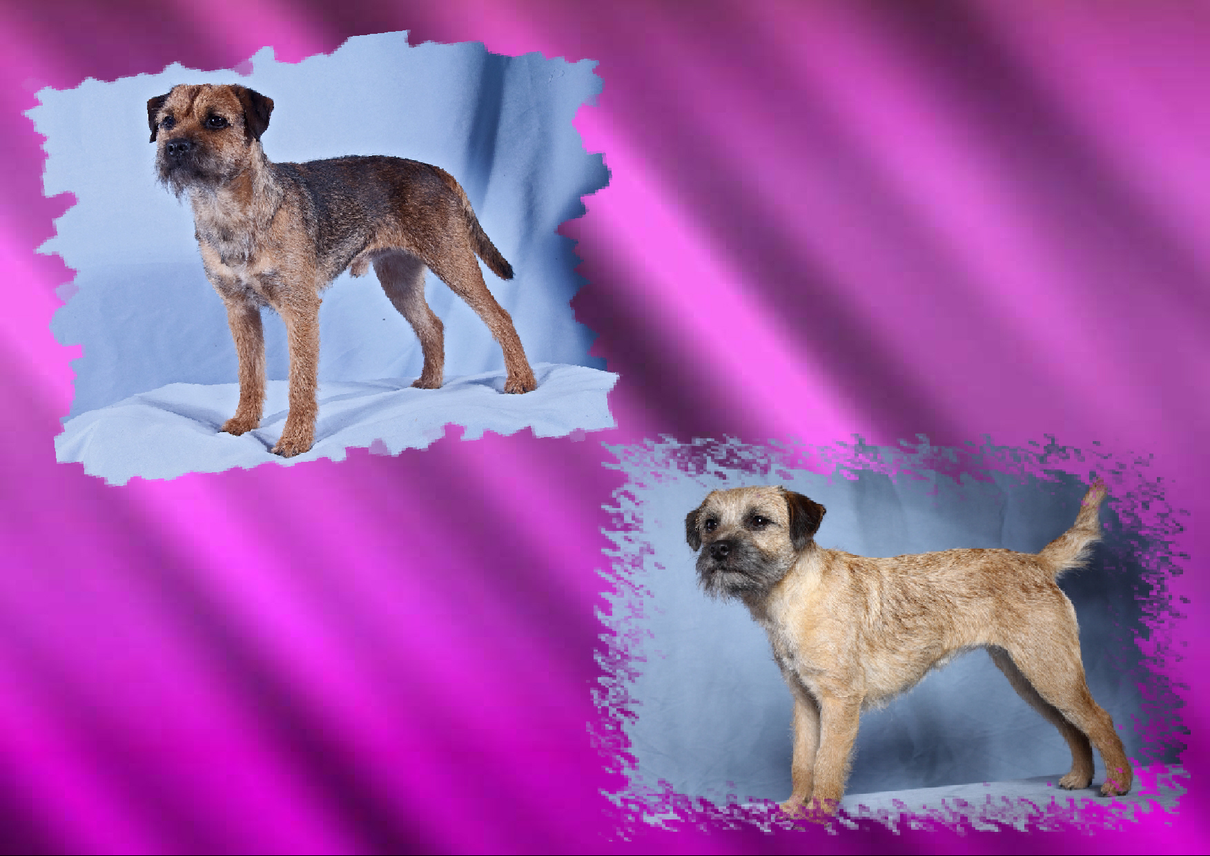 Visitenkarte Tanja_1