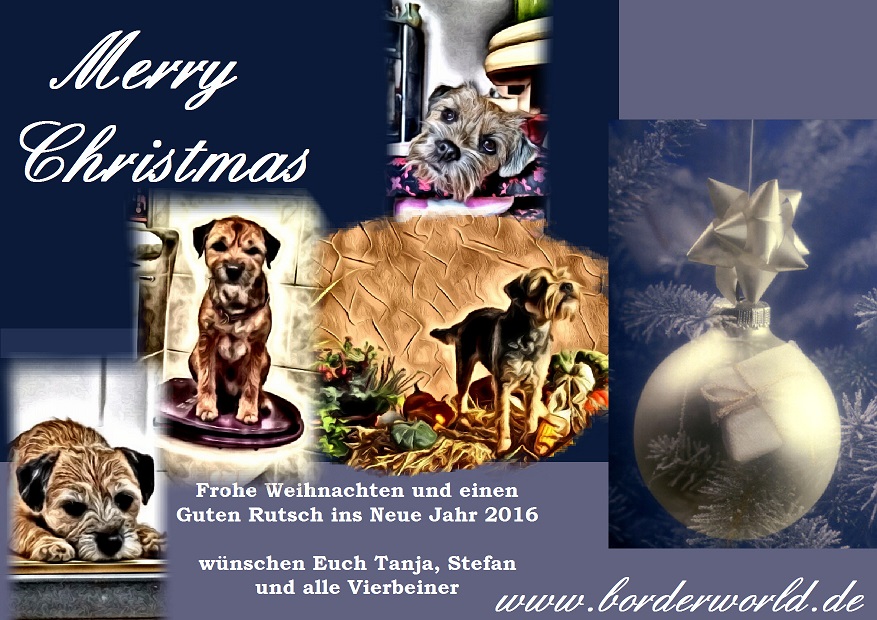 Weihnachten 2015 (2)