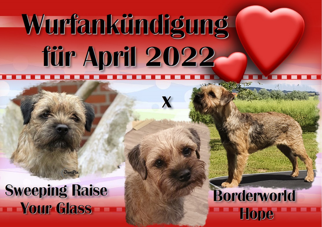 Wurf April 2022 Wurf April 2022