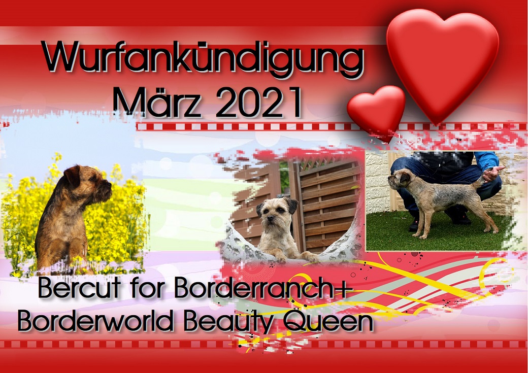 Wurfankündigung 2021 Wurfankündigung 2021