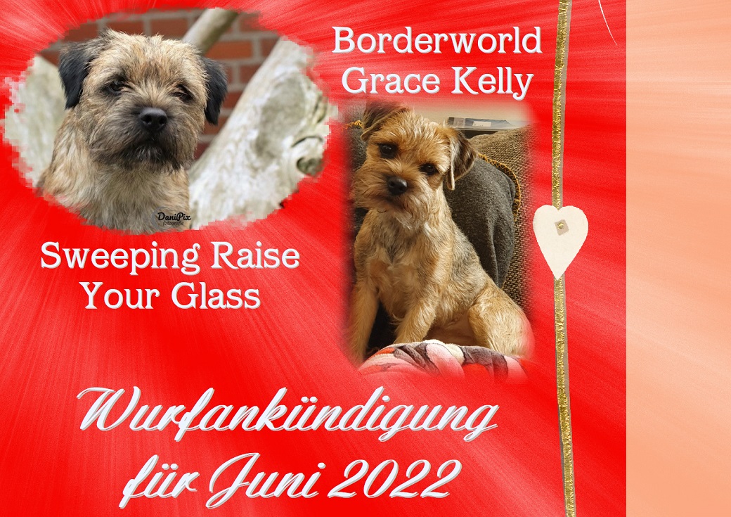 Wurfankündigung 2022 Wurfankündigung 2022