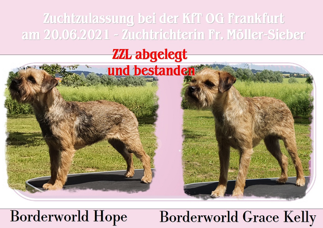 Zuchtzulassung 2021 Zuchtzulassung 2021