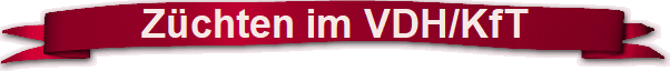 Zchten im VDH/KfT