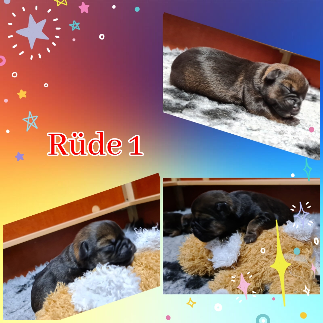 photocollage_202111210561870