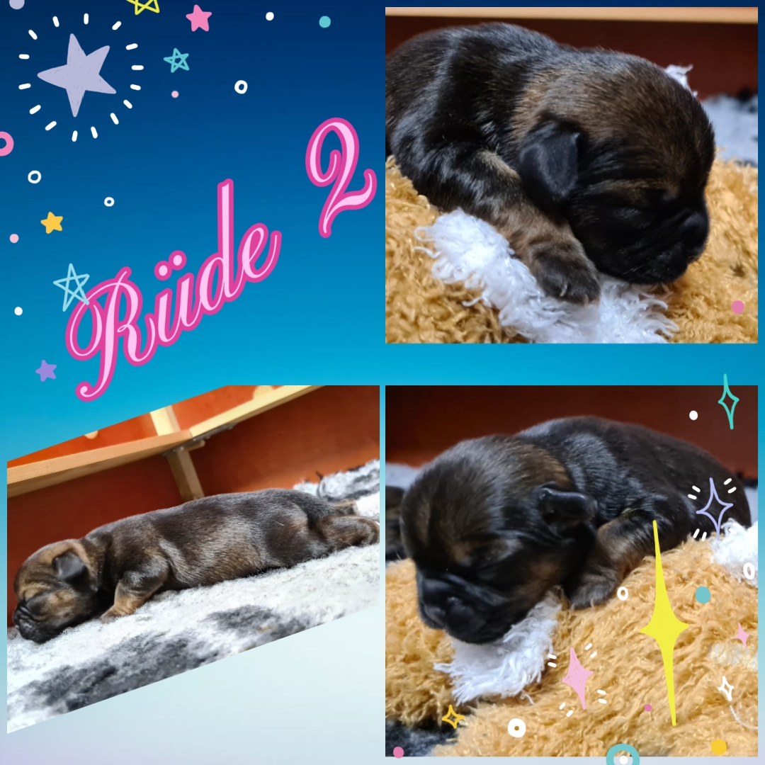 photocollage_20211121102389