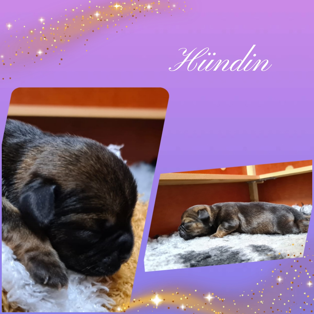 photocollage_2021114132321994