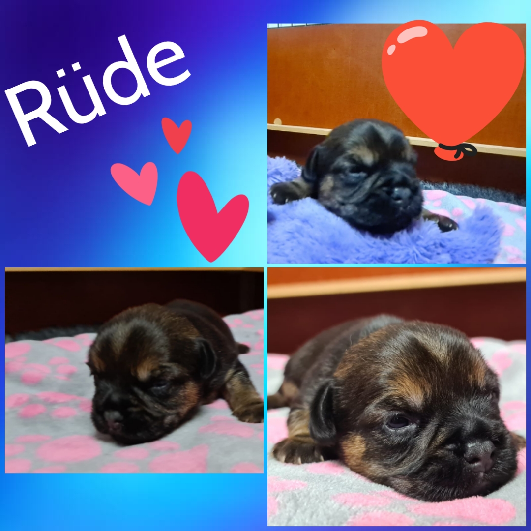 photocollage_202111910510727