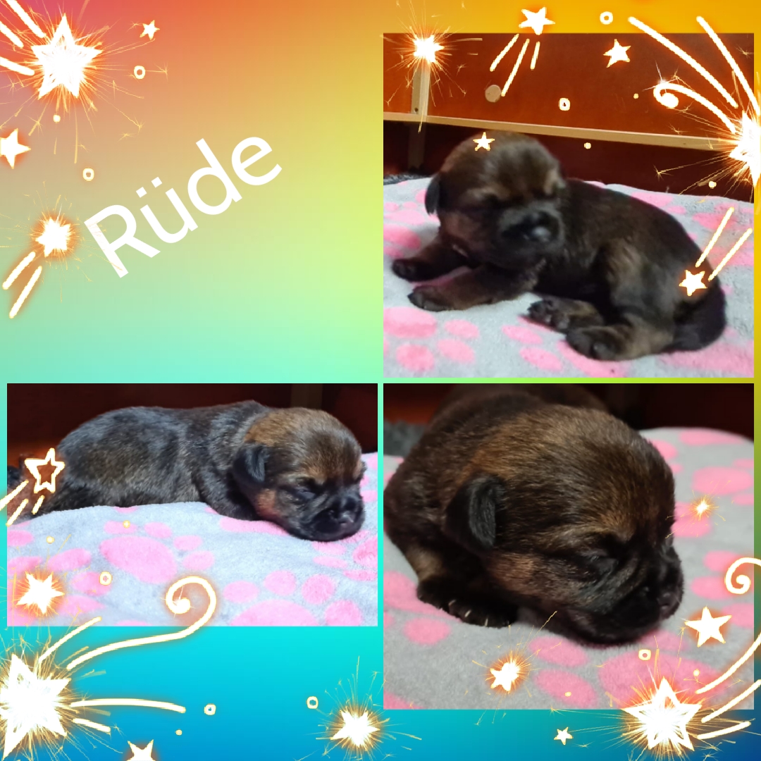 photocollage_20211191105999