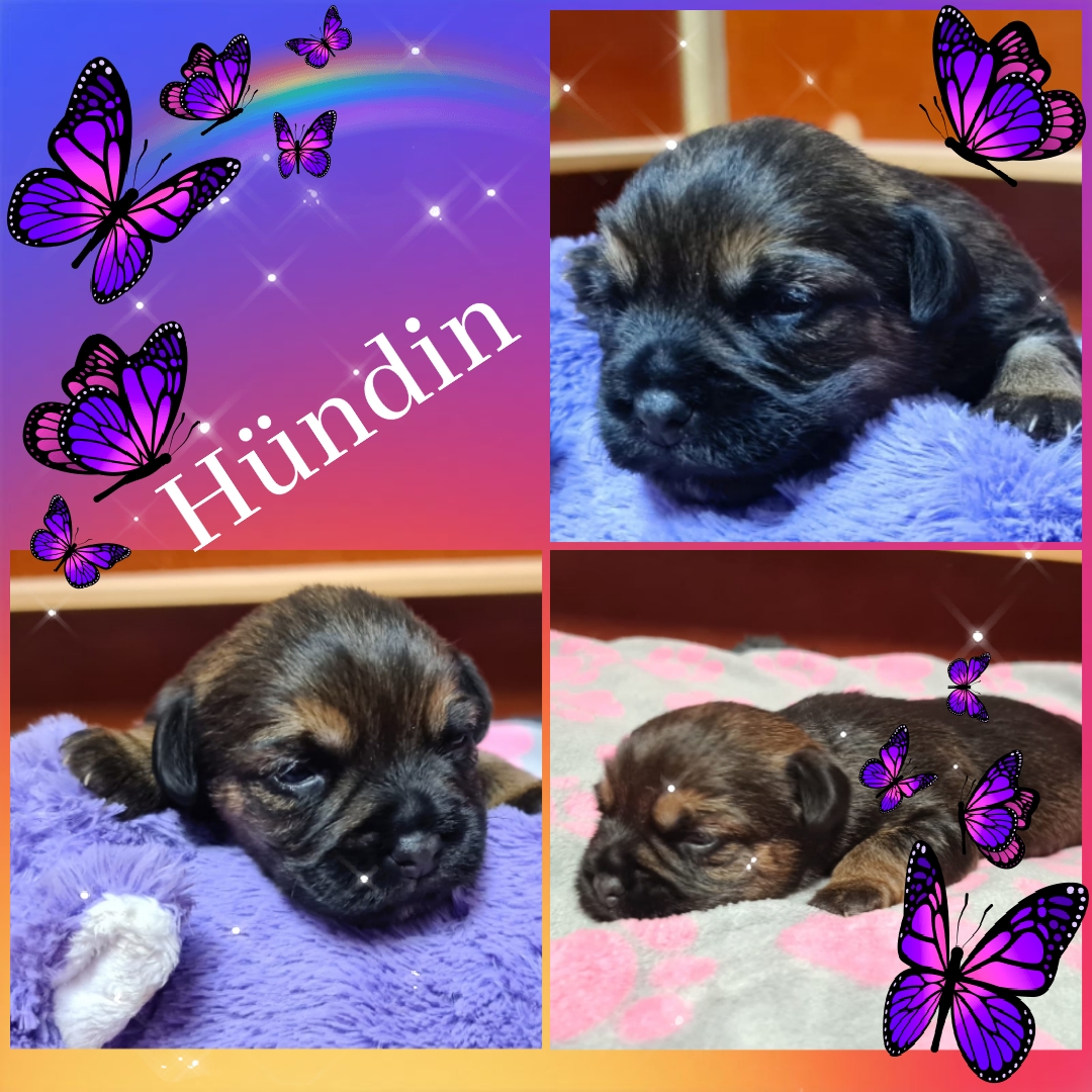 photocollage_202111995628998